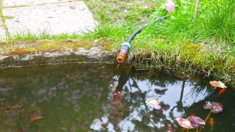 Comprehensive Pond Cleaning Services for a Healthy Water Feature in Kent, London, and the South East