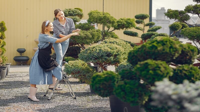 How to Create a Functional and Beautiful Landscape Design
