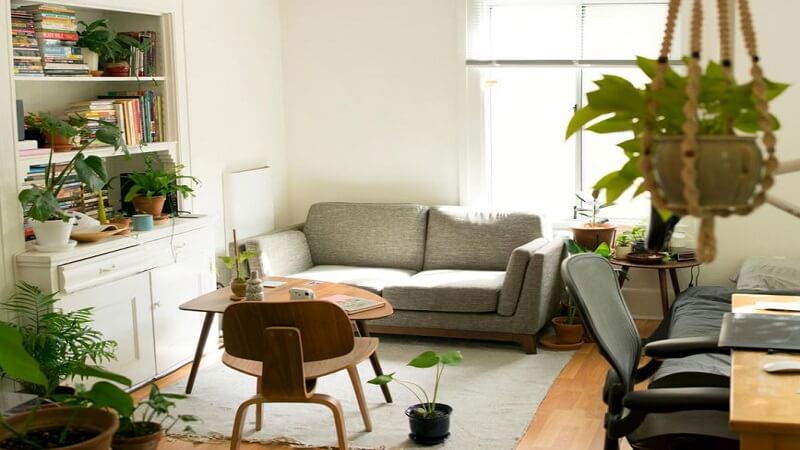Protecting Your Home from Hidden Health Hazards