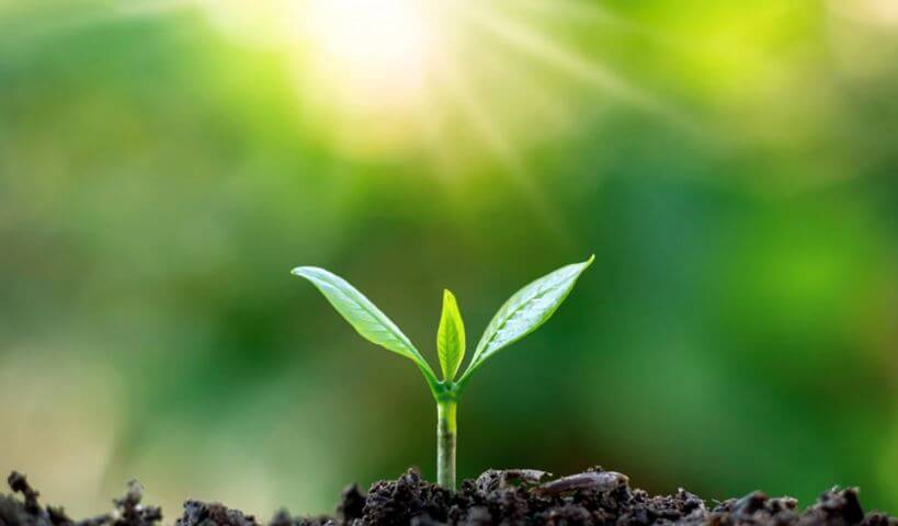 Fertility Clinic Guide: What to Expect on Your Journey