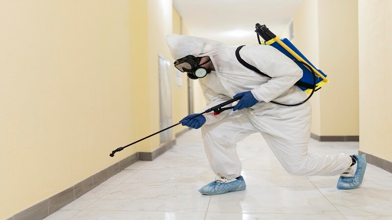 Bye-Bye Bugs: Your Ultimate Guide to Preventive Pest Control at Home