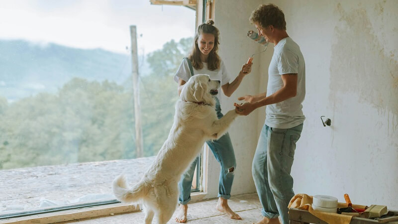 Essential Construction Tips Every Homeowner Should Know