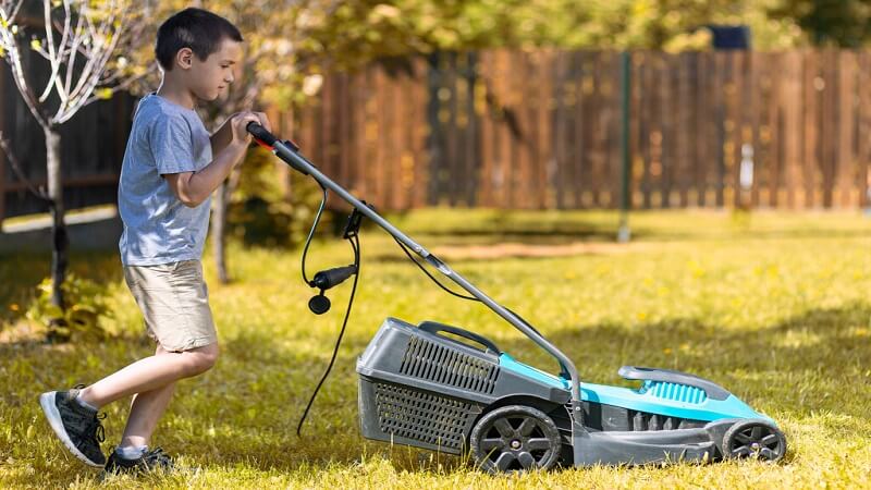The Ultimate Guide to Safely Buying Lawn Equipment Online