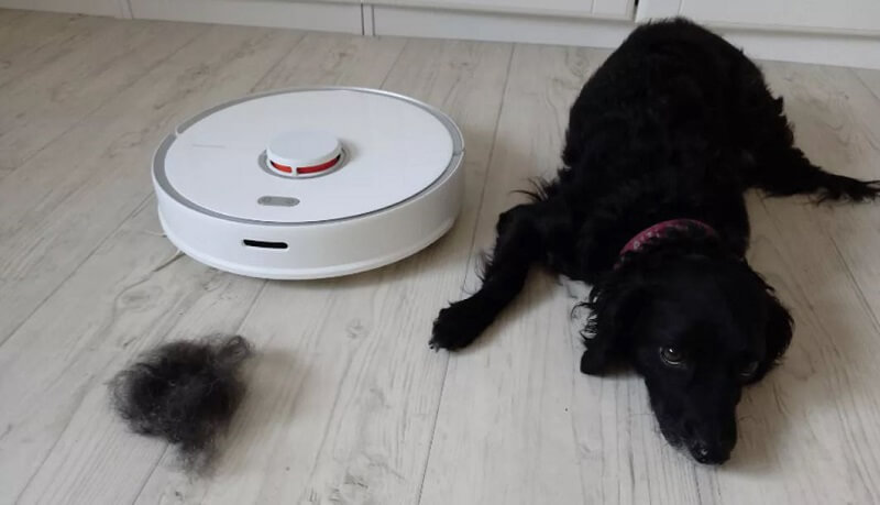 Is Roborock Good for Pet Hair? Honest Performance Review