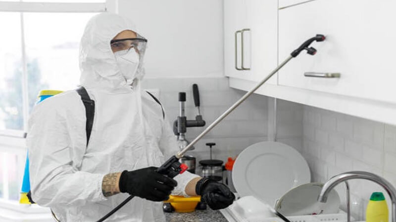Practical Home Improvement Tips for a Pest-Free Living Environment
