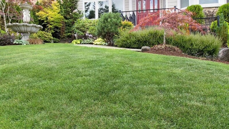Why a Well-Maintained Lawn Reduces Hazards for Families