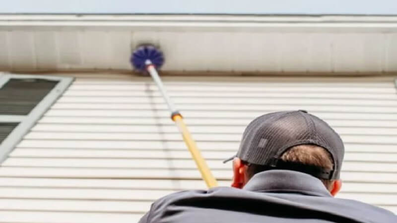 How to Find the Best Pest Control Near Me for Southern Maine Homes