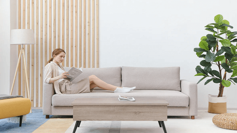 The Ultimate Guide to Choosing a Sofa Sleeper for Home