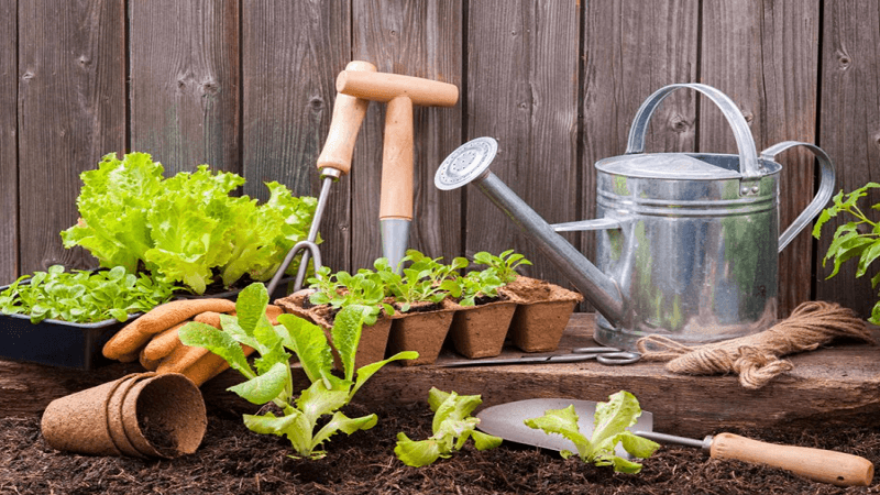How to Start a Self-Sufficient Garden: A Step-by-Step Beginner’s Guide