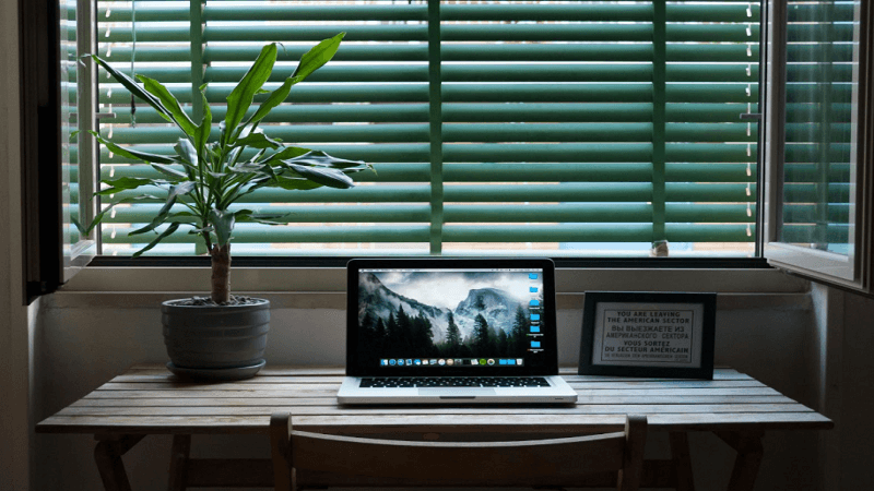 Green Interiors: The Best Natural Materials for Window Shades in 2025