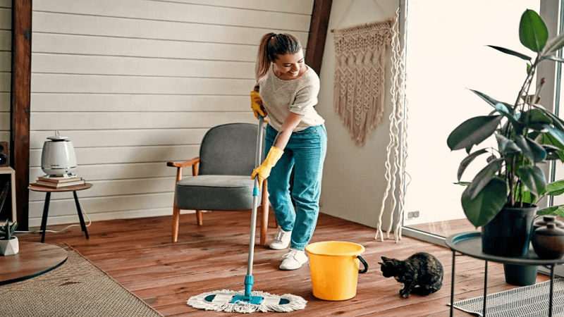 The Clean Home Illusion: What We See Inside and What We Choose Not to See Outside