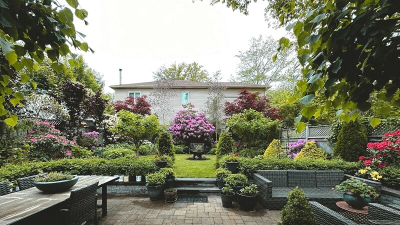 Budget-Friendly Backyard Improvements Worth the Investment