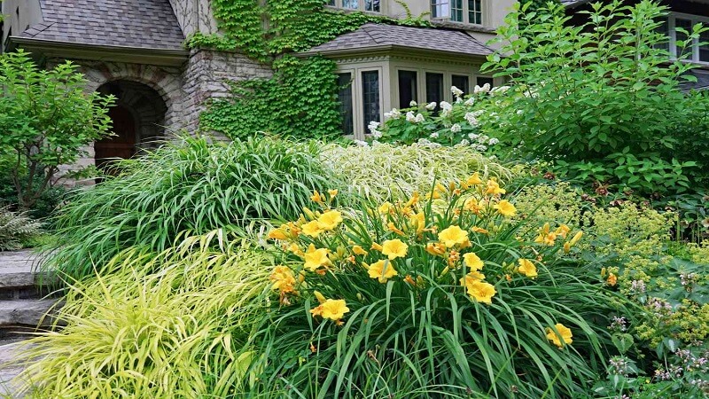 How Poor Landscaping Hurts Property Appeal