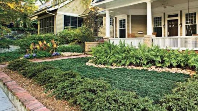 Front Yard That Has Almost No Lawn